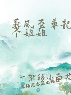 聂风至尊龙王七个姐姐