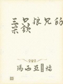 三只狼兄的宠妻宋钦