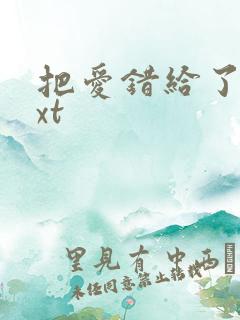 把爱错给了你txt