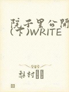 院子里公开惩戒(下)WRITE