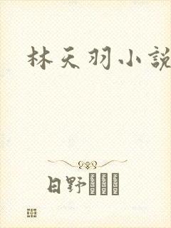 林天羽小说