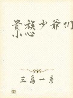 贵族少爷们 请小心