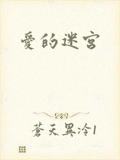 爱的迷宫