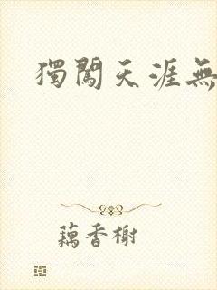 独闯天涯无弹窗