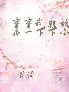 宝宝我就放进去弄一下下小说