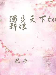 独步天下txt新浪