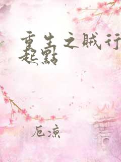 重生之贼行天下起点