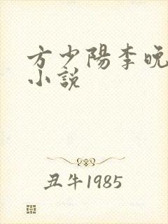 方少阳李晚晴的小说