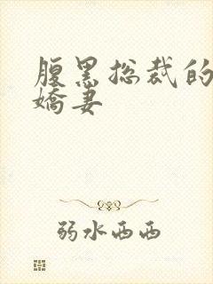 腹黑总裁的双面娇妻