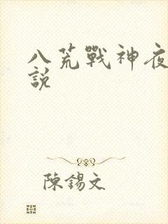 八荒战神夜麟小说