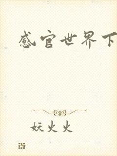 感官世界下载
