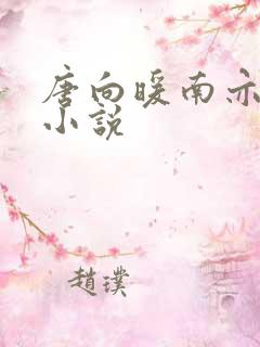 唐向暖南亦琛的小说