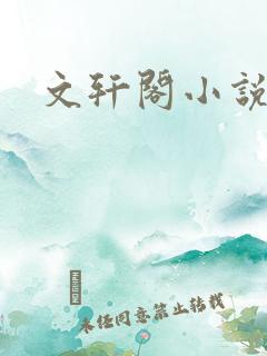 文轩阁小说网