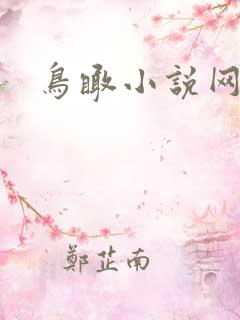 鸟瞰小说网