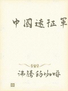 中国远征军小说