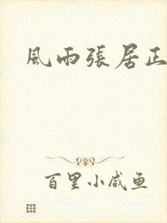 风雨张居正下载