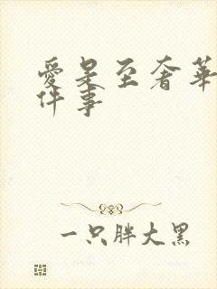 爱是至奢华的一件事