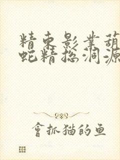 精东影业葫芦娃蛇精总洞源