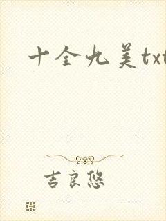 十全九美txt