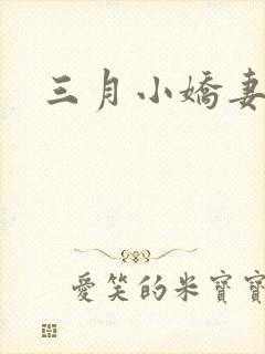 三月小娇妻