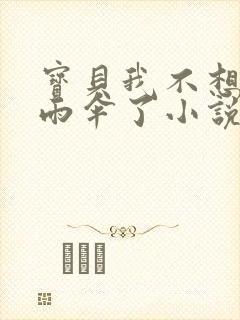 宝贝我不想带小雨伞了小说