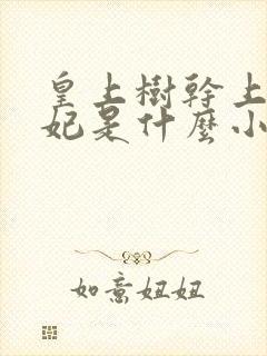 皇上树干上太子妃是什么小说