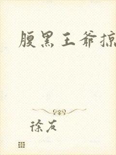 腹黑王爷掠邪妃