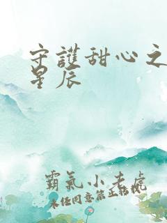 守护甜心之暗夜星辰