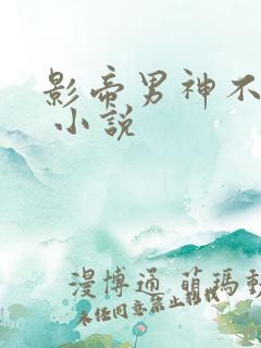 影帝男神不节制 小说
