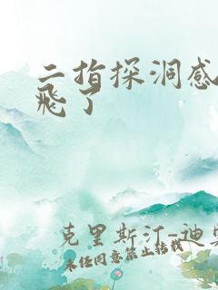 二指探洞感觉要飞了