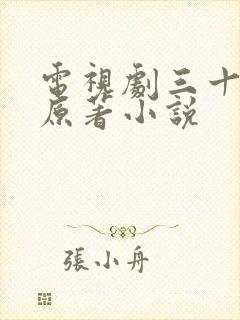 电视剧三十而已原著小说