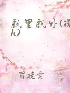 戏里戏外(现场h)