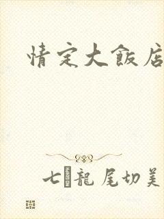 情定大饭店同人