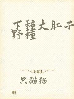 下种大肚子怀孕野种
