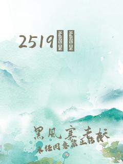 2519С˵