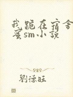 我跪在宿舍被闺蜜sm小说