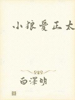 小狼爱正太