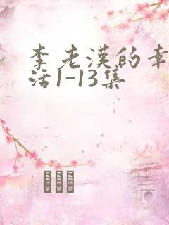 李老汉的幸福生活1-13集