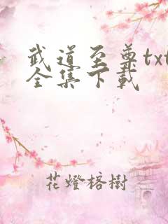 武道至尊txt全集下载