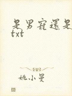 是男宠还是禁脔txt