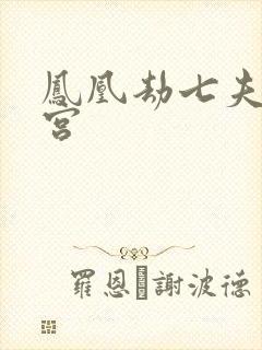 凤凰劫七夫乱后宫