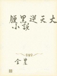 腹黑逆天大小姐 小说