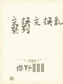 交换交换乱杂烩系列