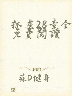 抓灰28章全部免费阅读