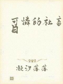 可怜的社畜东度日