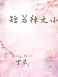 短篇辣文小说