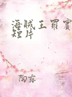 海贼王罗宾被h短片