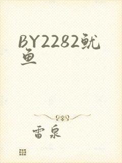 BY2282鱿鱼