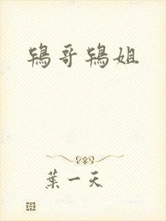 鸨哥鸨姐