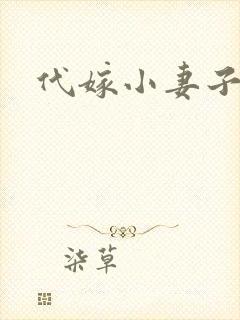 代嫁小妻子